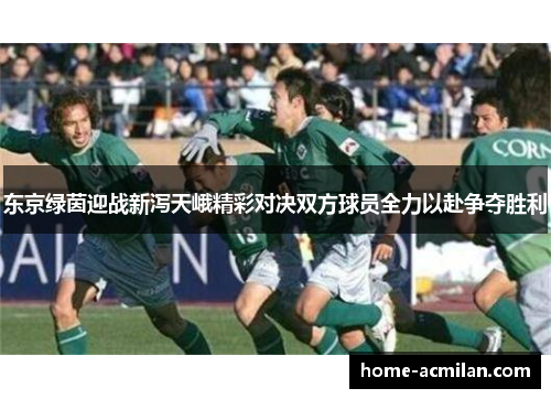 东京绿茵迎战新泻天峨精彩对决双方球员全力以赴争夺胜利