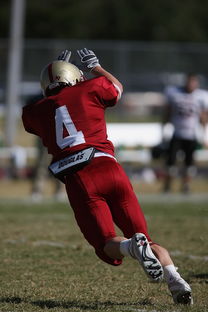 五大联赛的魅力：不同国家球队的差异化风格，5大联赛球队综合实力排名